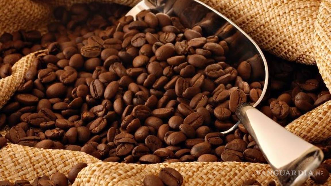 7 ideas para reutilizar los desechos del café