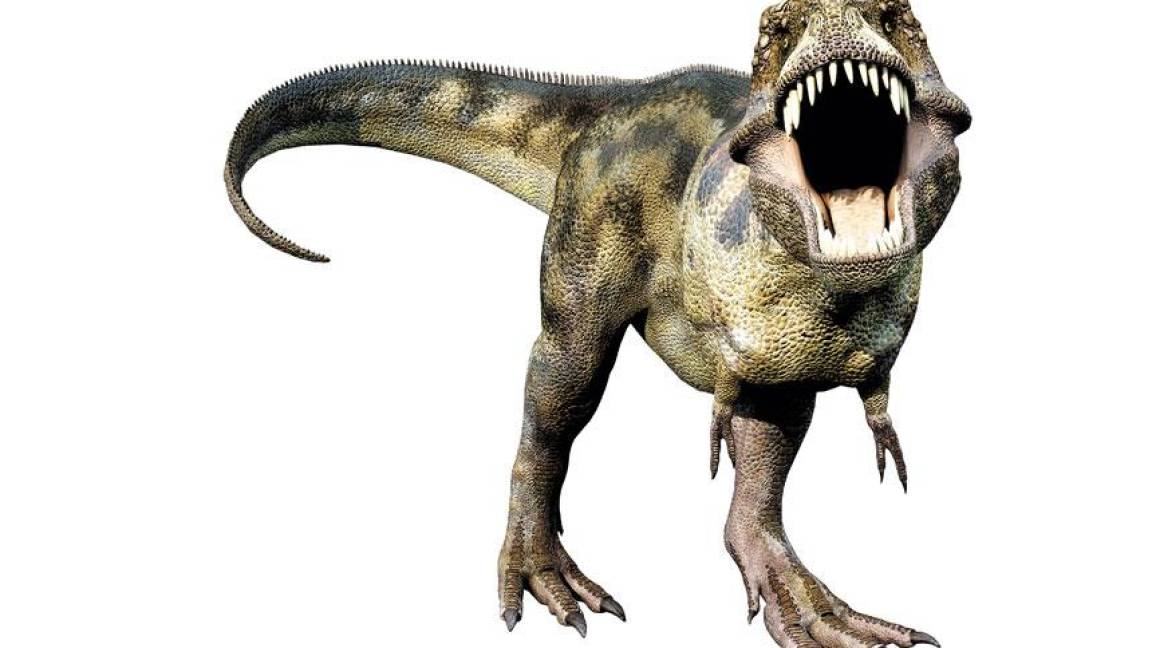 Mala suerte colosal causó extinción de dinosaurios, estudio