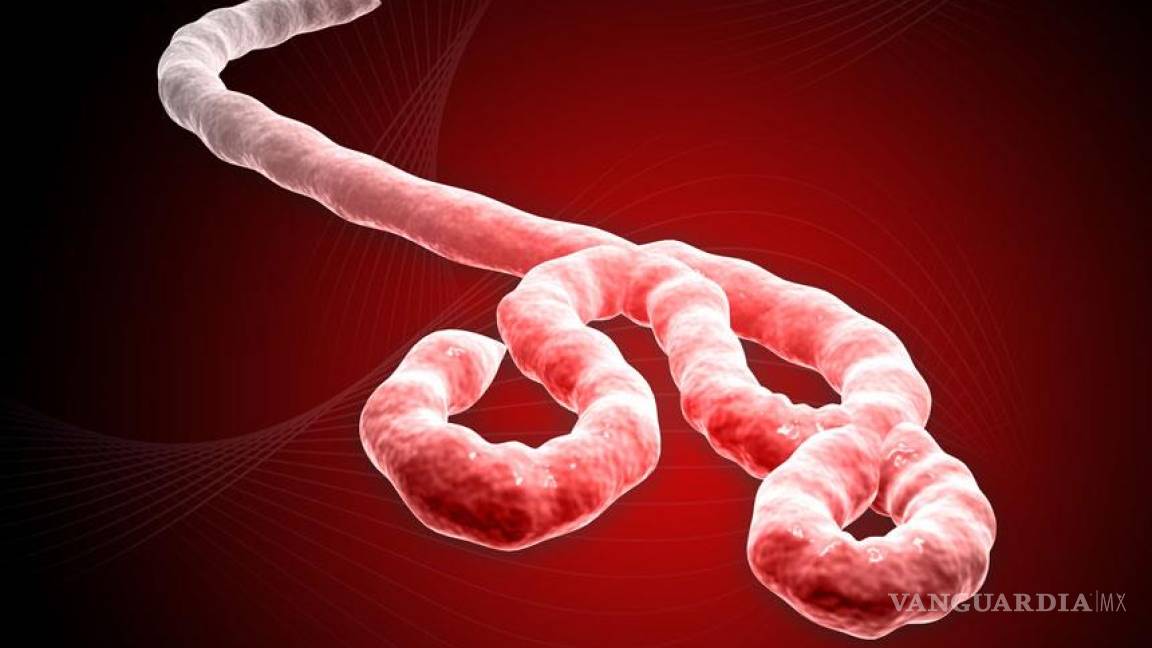 Virus del ébola mutó, advierten científicos
