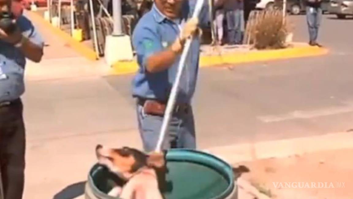 Causa indignación campaña de limpieza a perros en Chihuahua