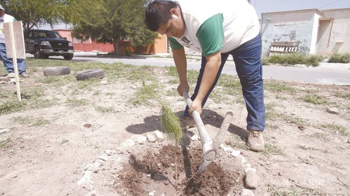 En Sabinas, afinan acciones por día del árbol; reforestarán plaza principal
