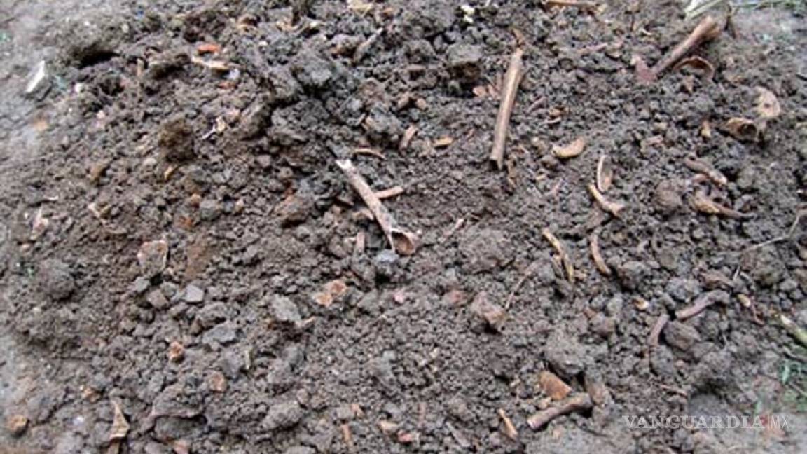 Localizan 31 mil restos óseos en Nuevo León, podrían ser de desaparecidos