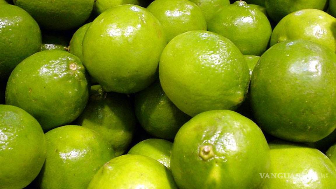 Sólo el limón mexicano soporta peligrosa plaga