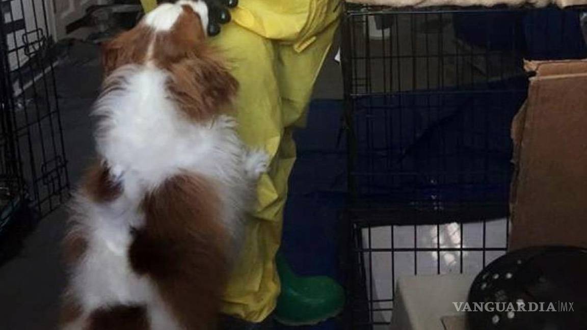 Enfermera que superó ébola en EU recibirá a su perro