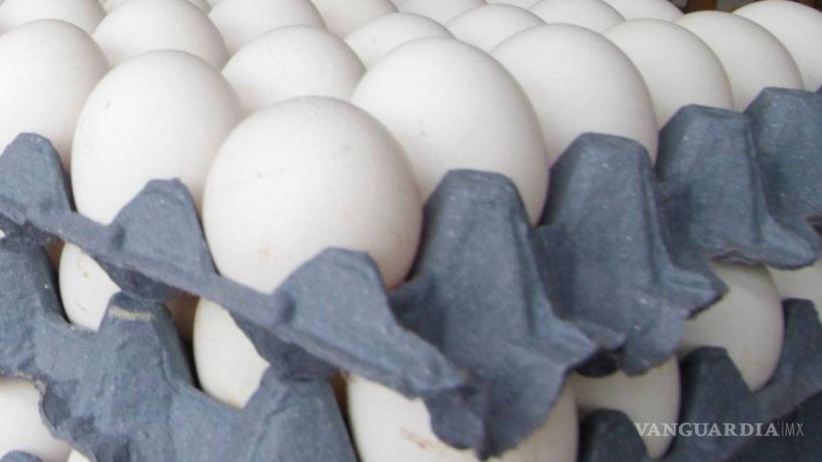 Carestía del huevo se debe a concentración en producción: Profeco