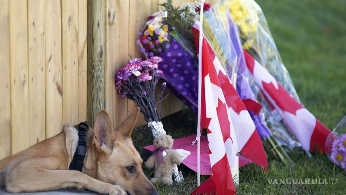 La triste espera de los perros del soldado muerto en el tiroteo de Ottawa
