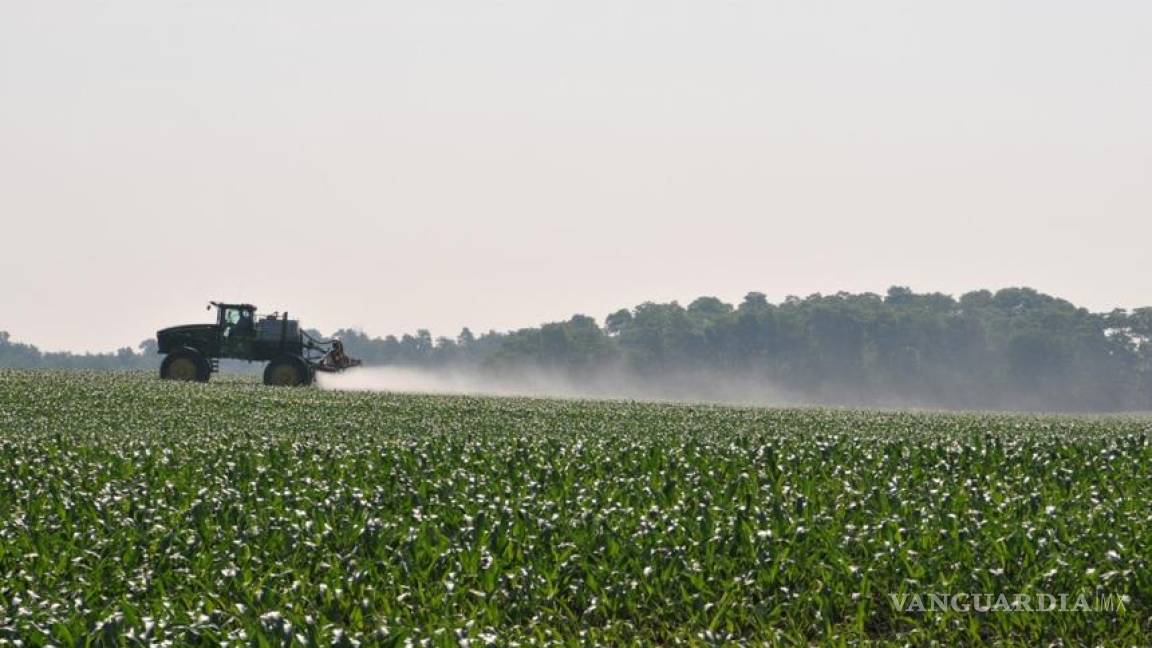 Pesticida en habitantes de 18 países europeos: ONG
