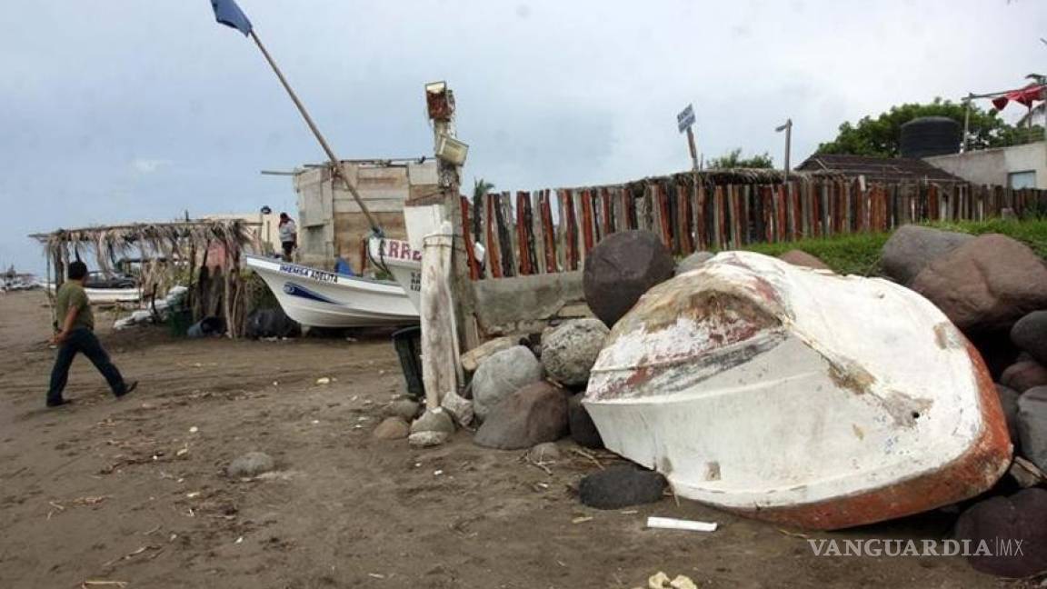 Rechazan hallazgo de cientos de peces muertos en Veracruz