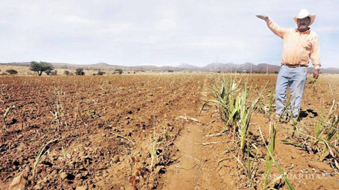 Reforma al campo beneficiará a más del 85 por ciento de los campesinos