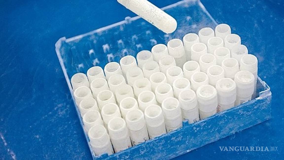 Científicos crean esperma humano 'in vitro'