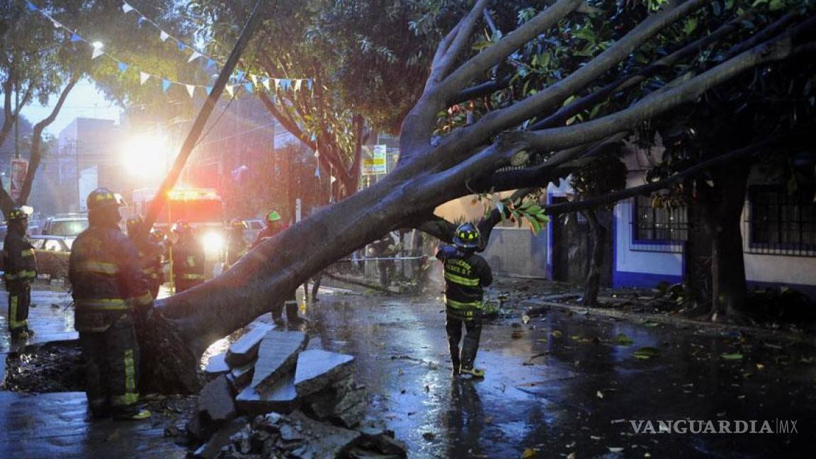 Chiapas: fuertes vientos causan daños en 456 viviendas