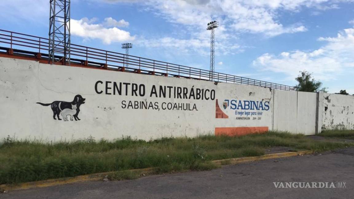 Denuncian maltrato animal en centro antirrábico de Sabinas