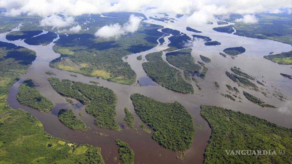 Molusco amenaza la biodiversidad del Amazonas