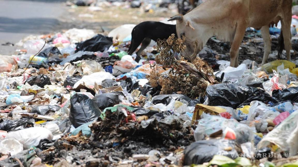 Detectan 50 basureros clandestinos en Acuña