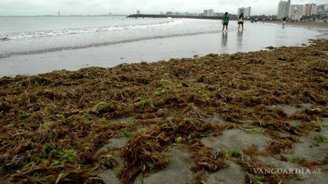 Exhortan a tomar precauciones con las primeras lluvias en Puerto Vallarta