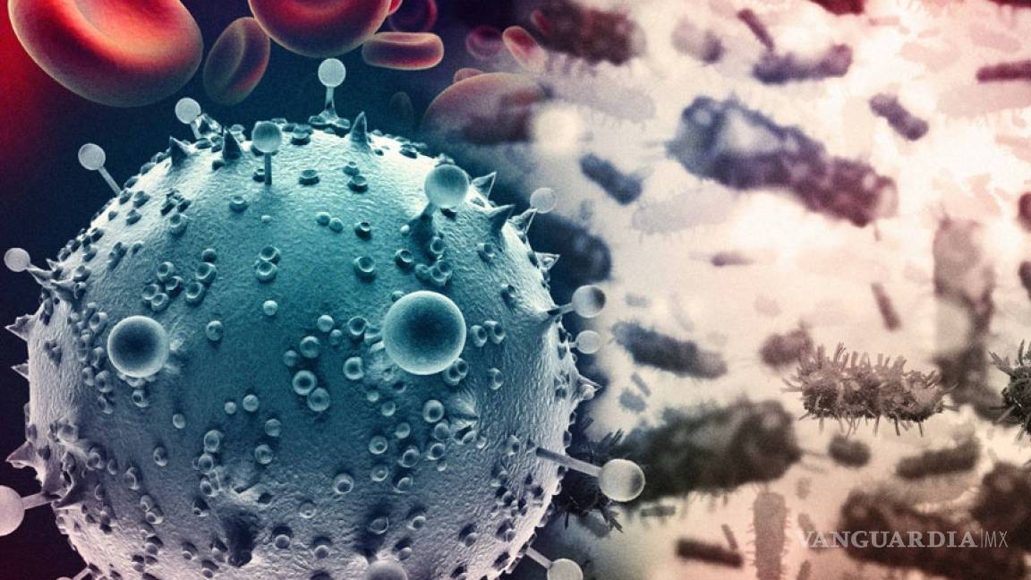 Nuevo medicamento antiretroviral para el VIH aumenta expectativa de vida hasta 69 años