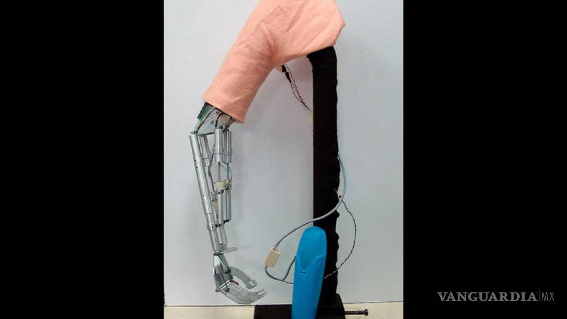 Diseña Cinvestav prótesis de brazo controlada con mensajes cerebrales
