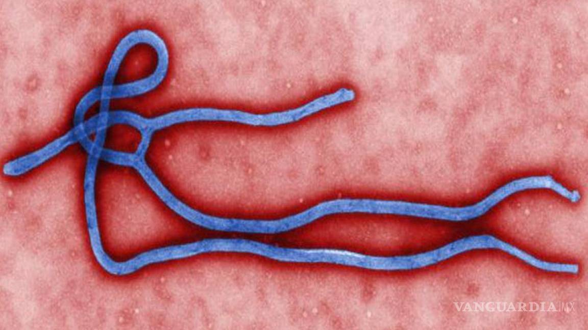 Epidemia de ébola será peor que lo dicho por la OMS: Científicos