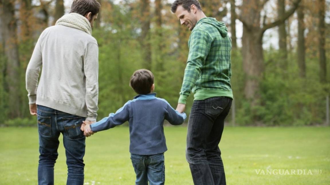 Suprema Corte a punto de respaldar la adopción gay