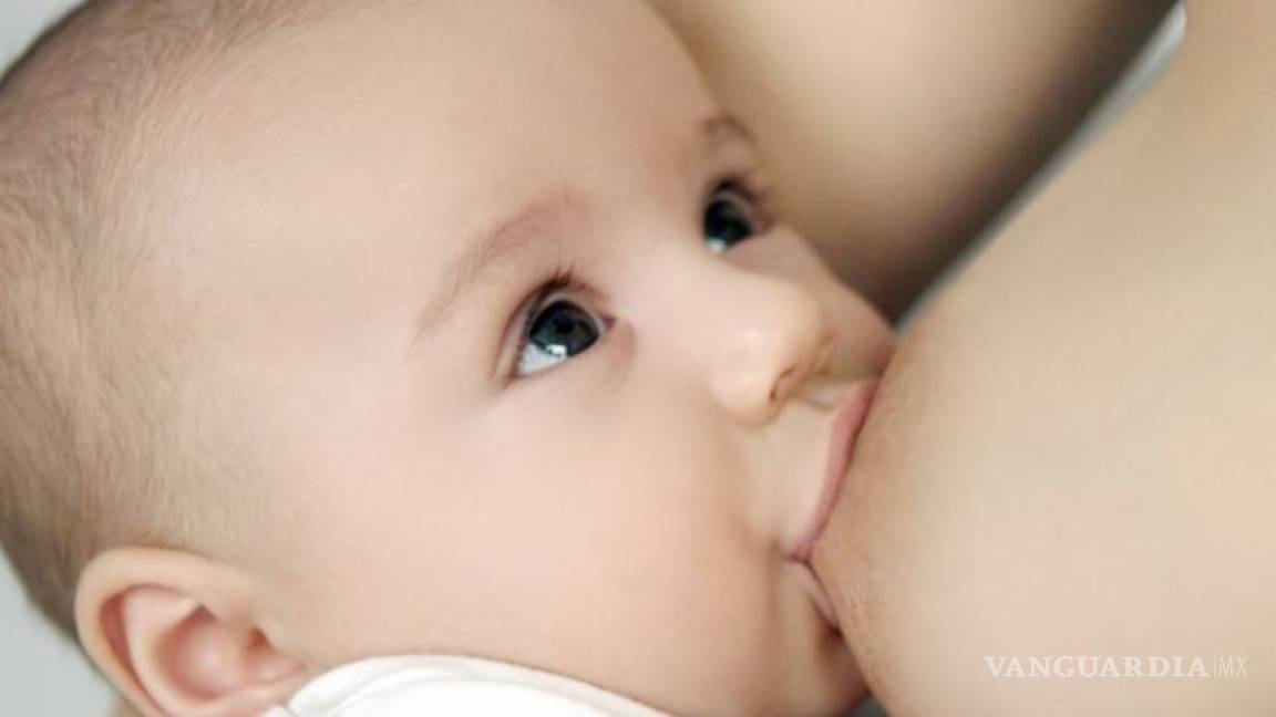 Leche materna regula función de intestinos y activa crecimiento