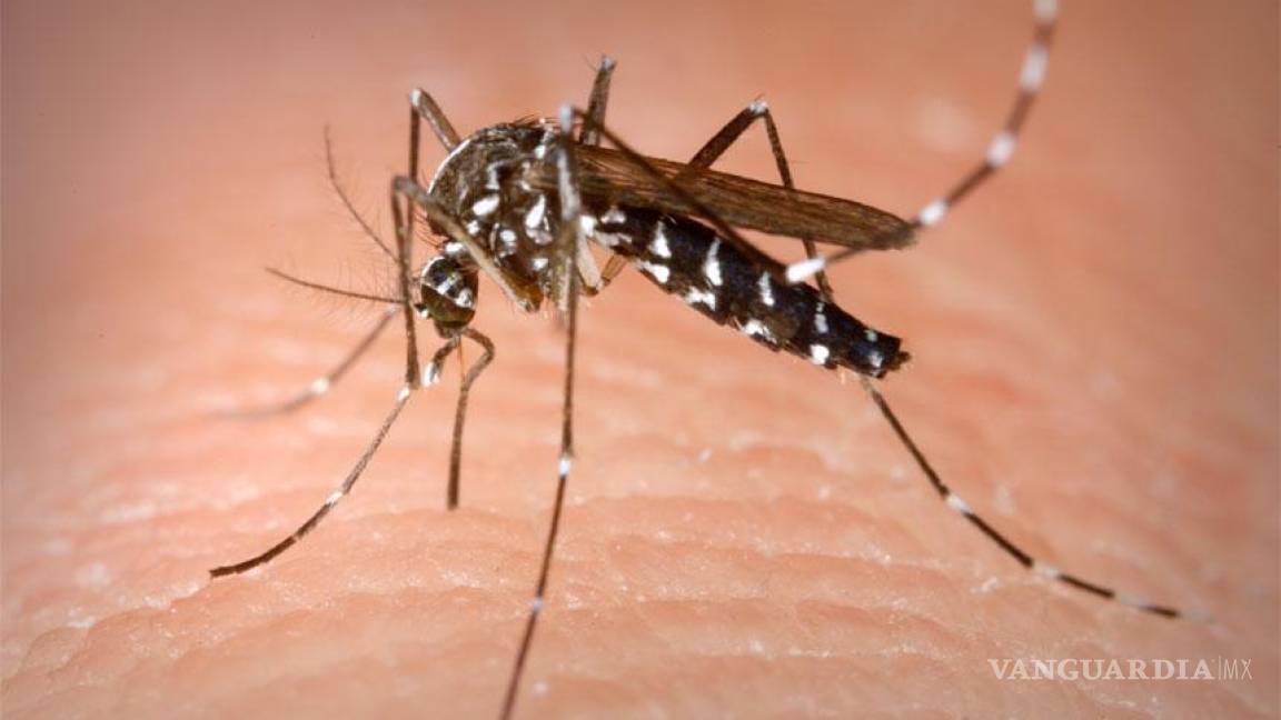Reportan caso de dengue en Nueva Rosita
