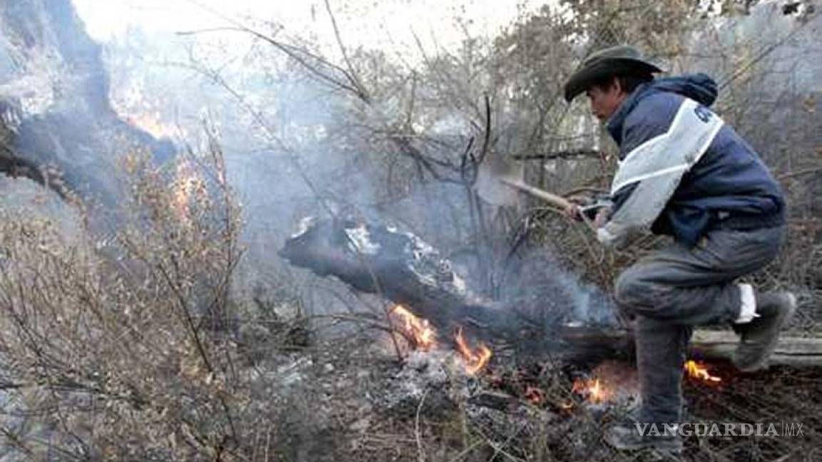 Incendios forestales cobran la vida de dos brigadistas en Michoacán