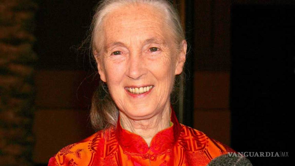 Jane Goodall: ‘Cada ser humano hace la diferencia’