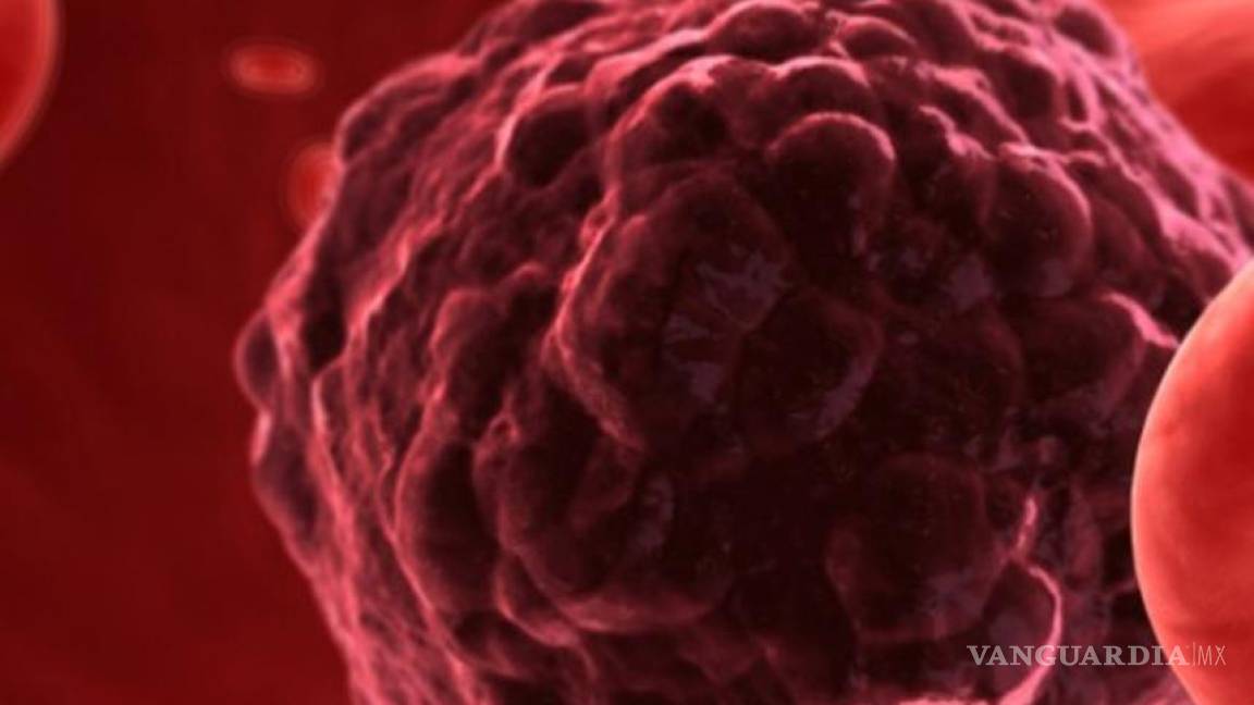 La combinación de dos nuevas moléculas logra frenar mejor el cáncer de ovario