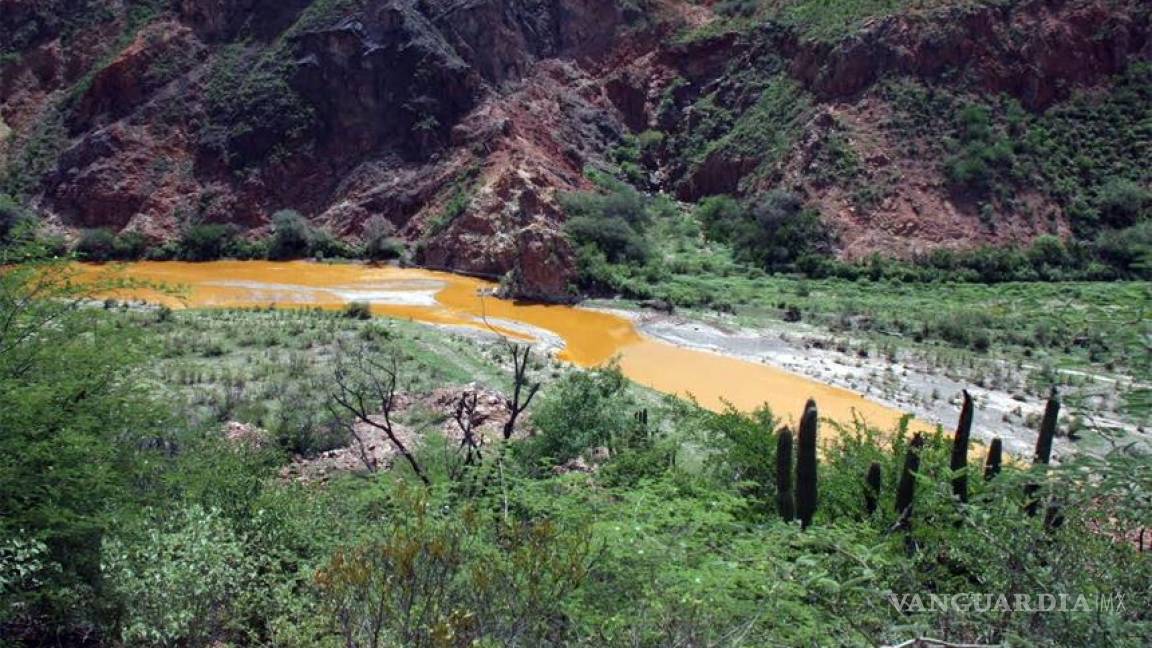 Minera cuestiona demanda de Profepa por derrame en Río de Sonora