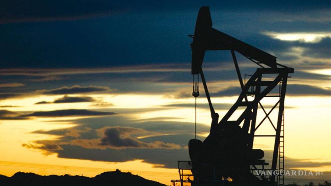 Petroprecios pegan 70% a los ingresos de Pemex, afirma Pedro Joaquín Coldwell