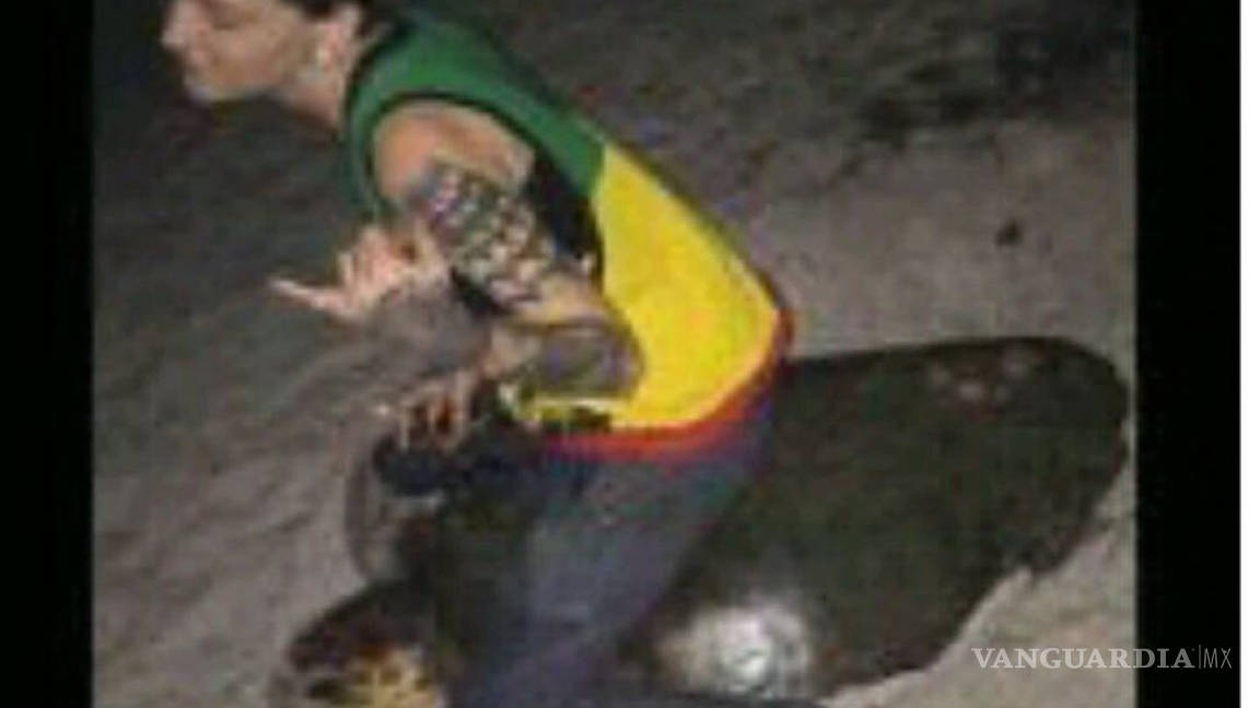 Mujer es arrestada por montar a una tortuga marina en Florida