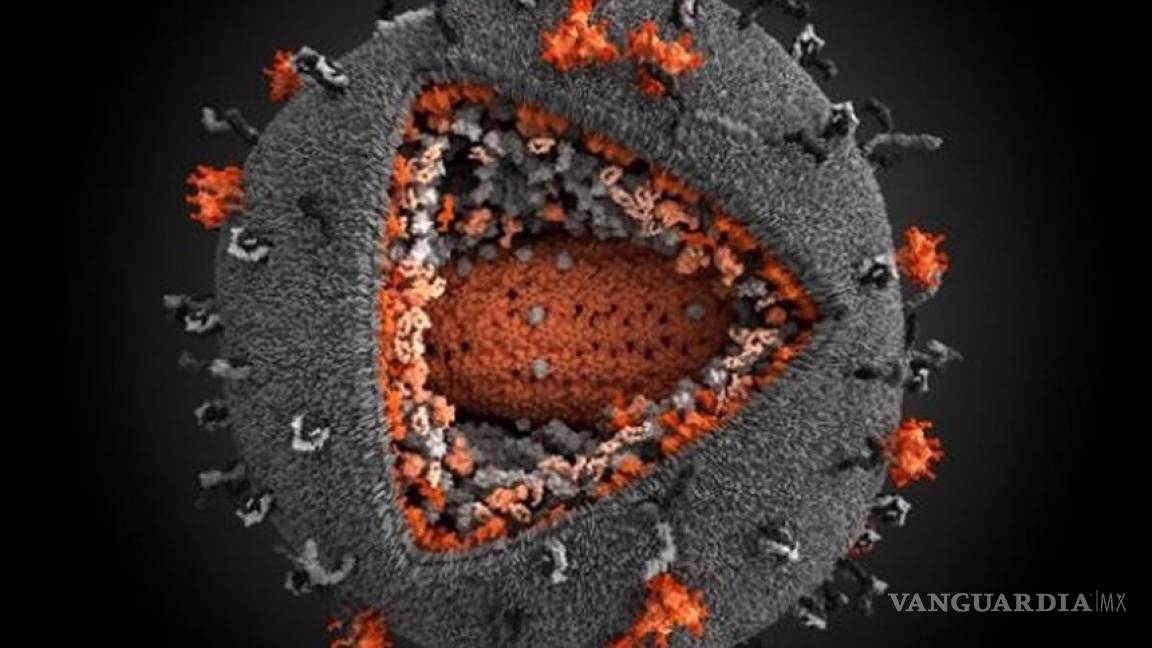 Científicos, cerca de hallar las células &quot;refugio&quot; del VIH
