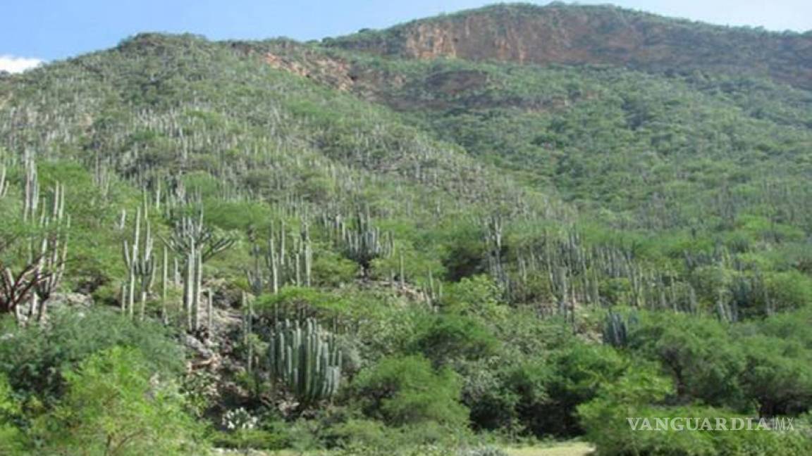 Reserva de Tehuacán-Cuicatlán busca reconocimiento de Unesco