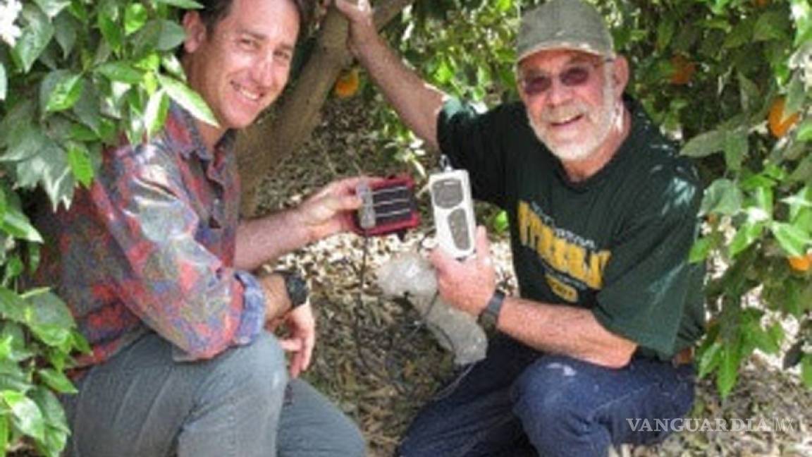 Crean dispositivo para que agricultores se 'comuniquen' con árboles sedientos