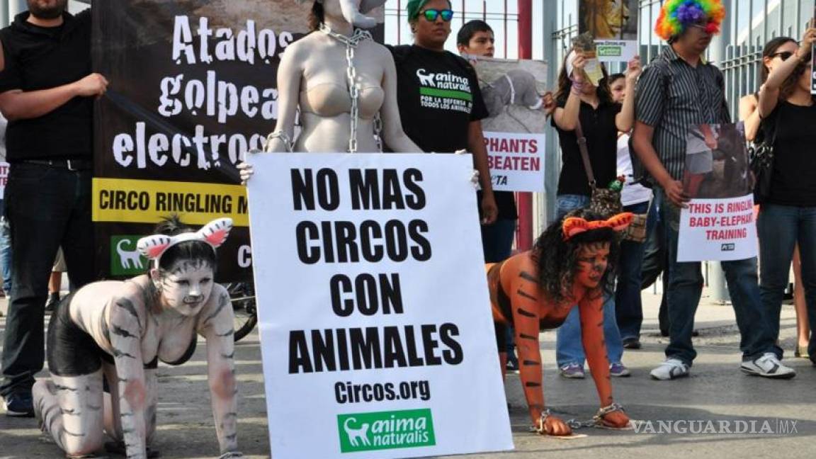 Protestan en Nuevo León contra uso de animales en circos