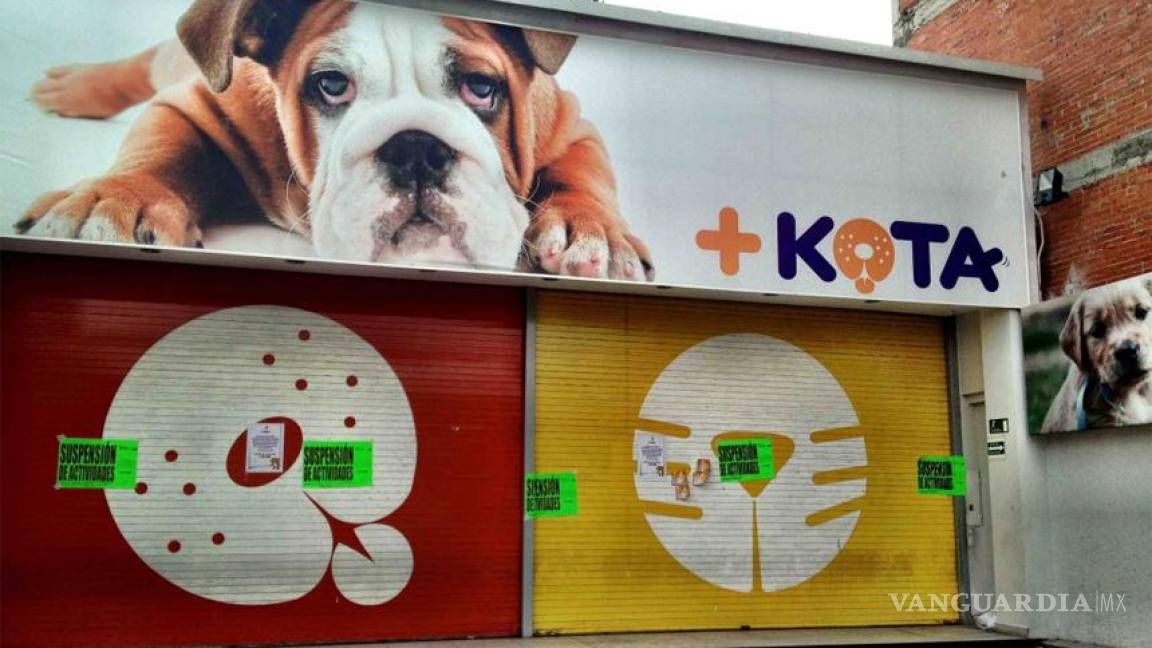 Ahora +Kota anuncia medidas para proteger a los animales que vende