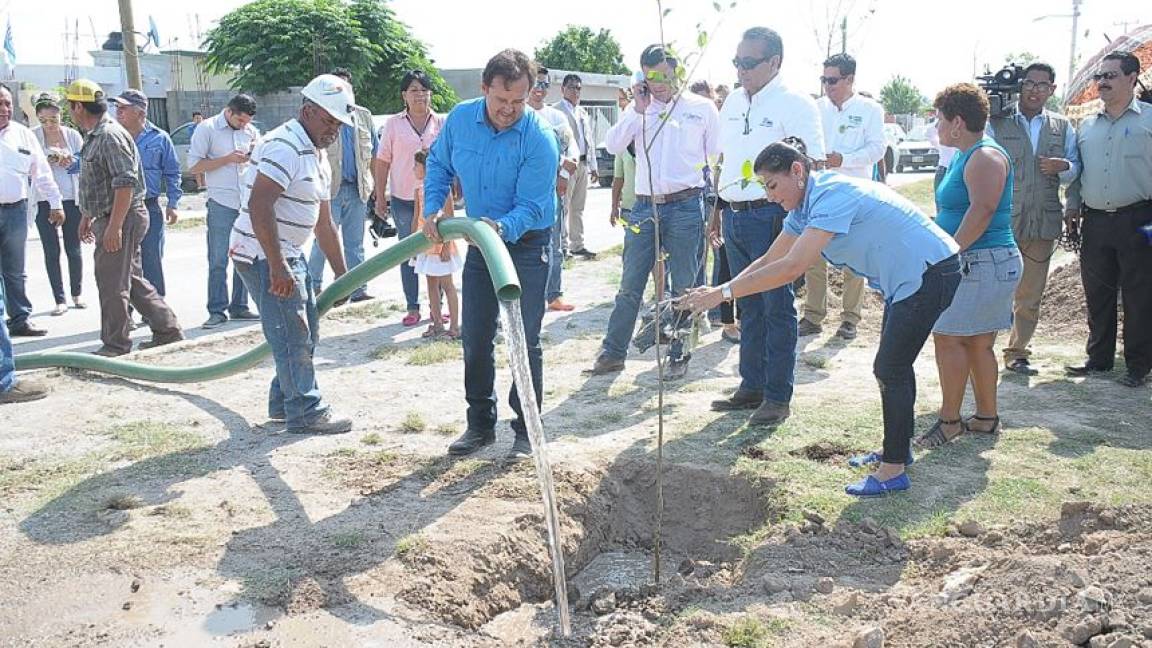 Ecología supervisa plantación de árboles sobre par vial de Monclova ante quejas ciudadanas