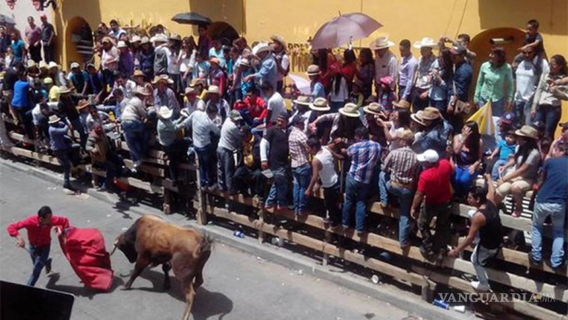 HSI celebró la decisión de Coahuila de prohibir las corridas de toros