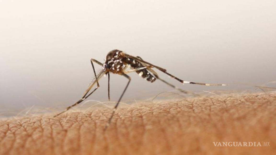 ¿Por qué los mosquitos prefieren picar a algunas personas?