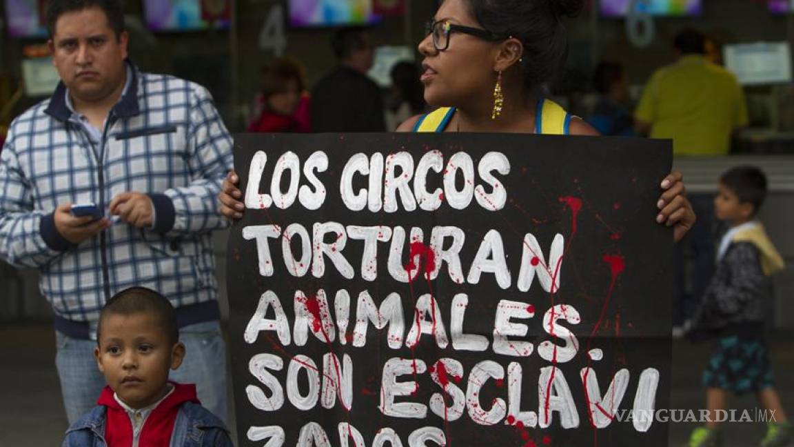 Avanza prohibición de circos con animales en Sonora