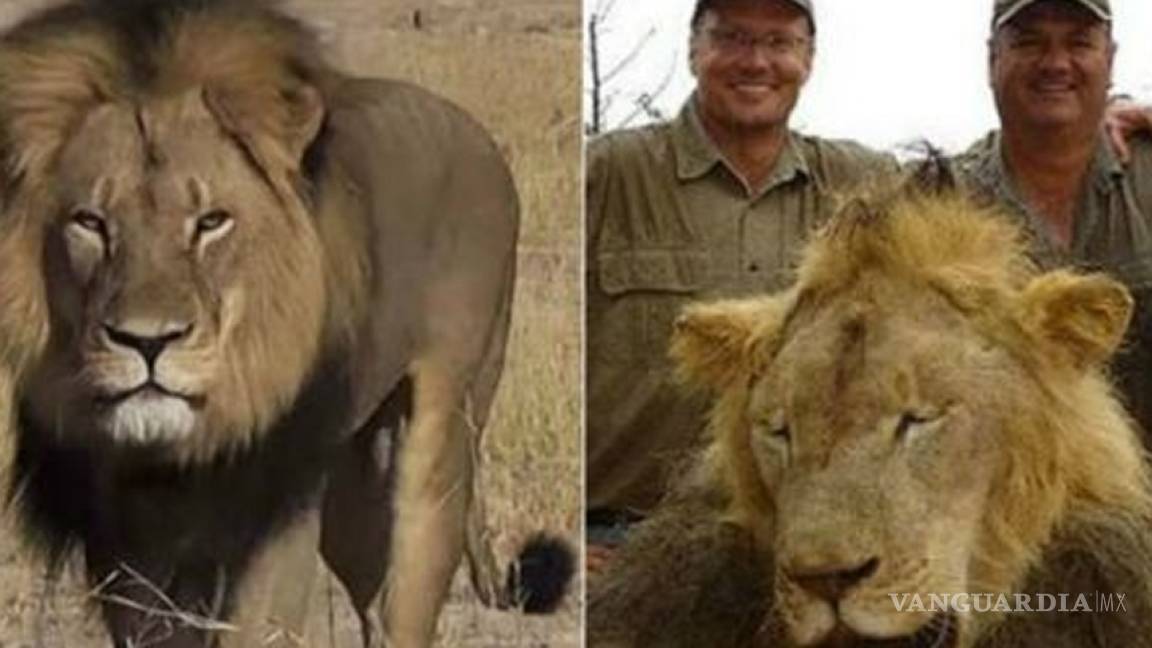 Dos detenidos por cacería del león Cecil enfrentan cargos en corte de Zimbabwe