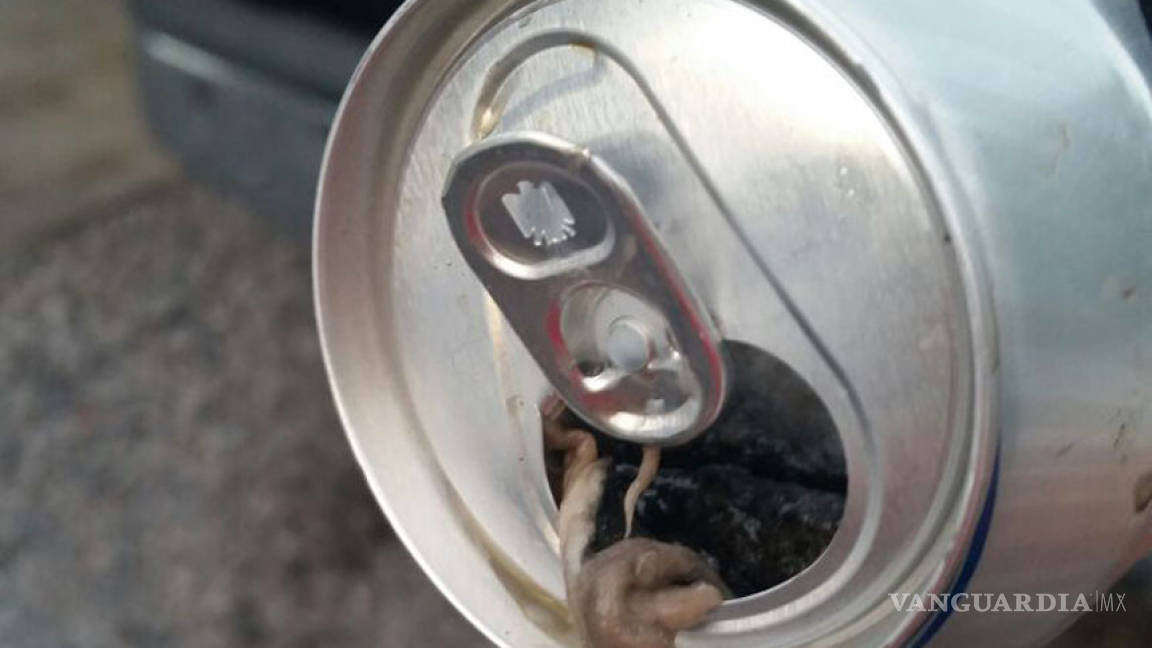 Encuentran rata dentro de una lata de cerveza en Monclova
