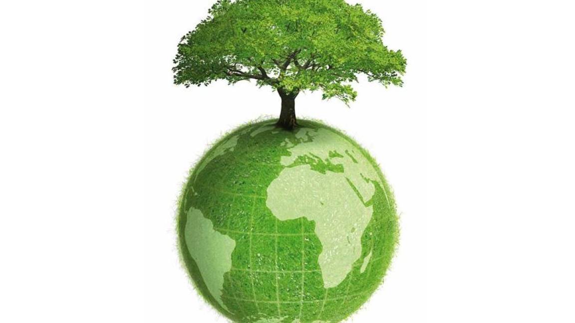 Hoy se celebra el Día Mundial del Medio Ambiente