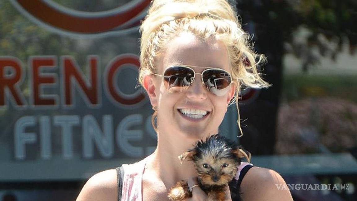 Britney gasta más de 30 mil dólares en sus perros
