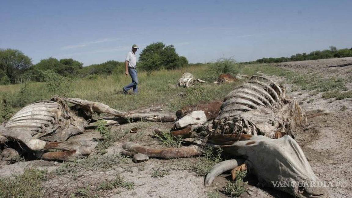Cuatro de cada 10 mexicanos, afectados por la sequía