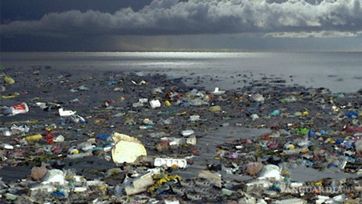 35 mil toneladas de plástico flotan en los mares: Estudio