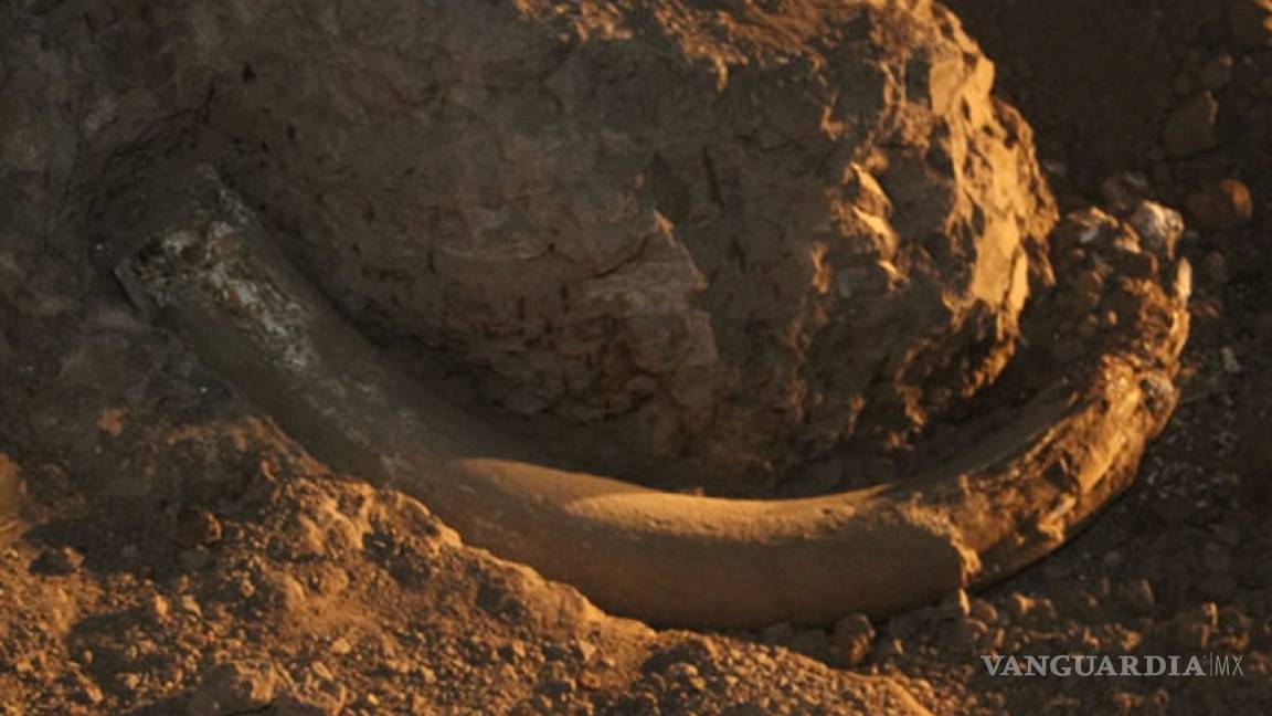 Descubren fósiles de dinosaurios y casas en túneles en Puebla