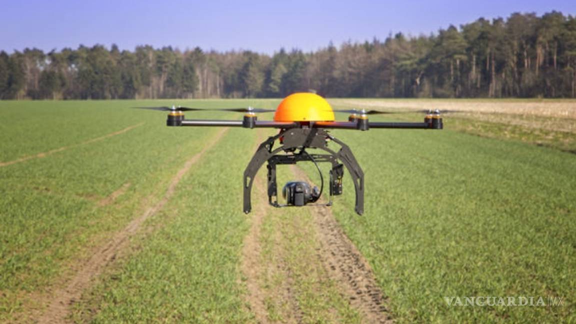 Ingenieros mexicanos construirán drones para fumigar cultivos