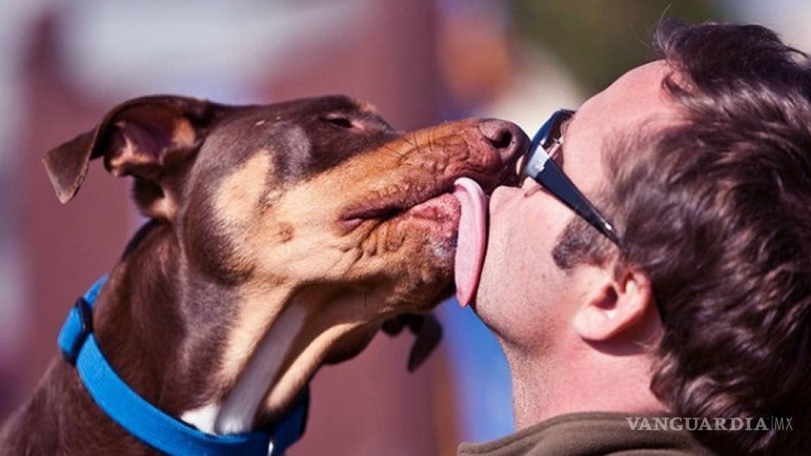 Besos caninos mejoran la salud, según estudio
