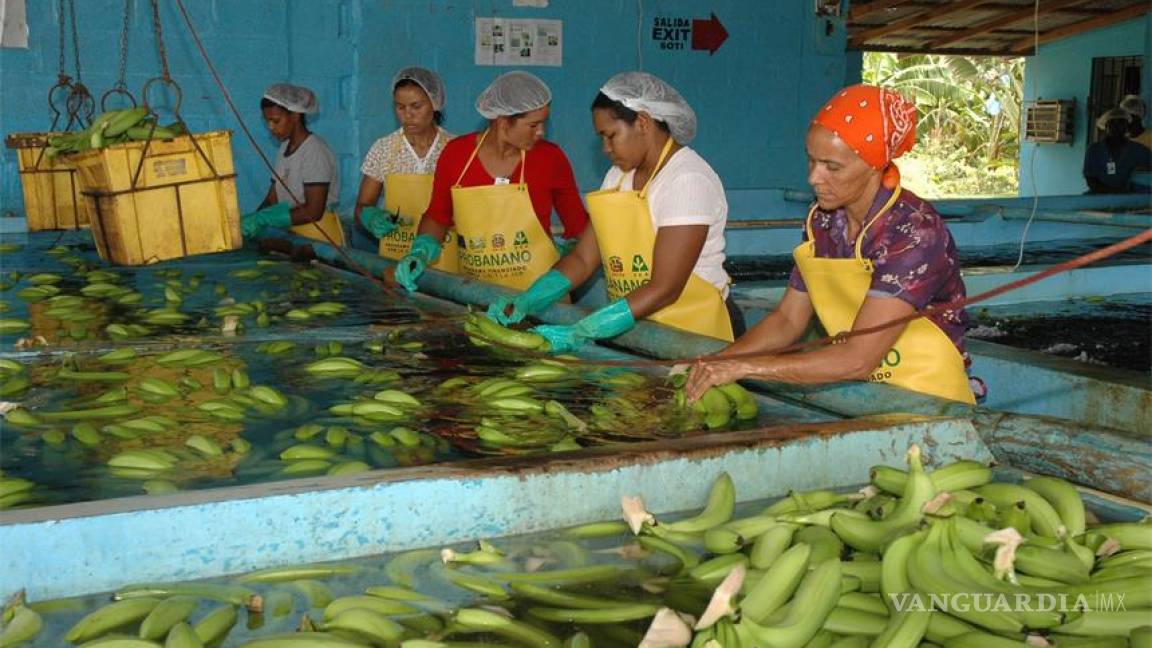 México abre mercado de exportación a 20 productos de origen vegetal